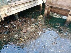 Clean Water for Villages